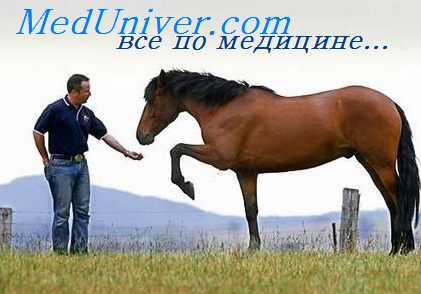 кормовой травматизм