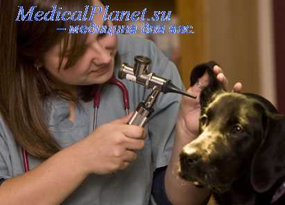 профилактика травматизма