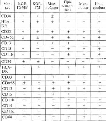 иммунофенотип миелоидного лейкоза