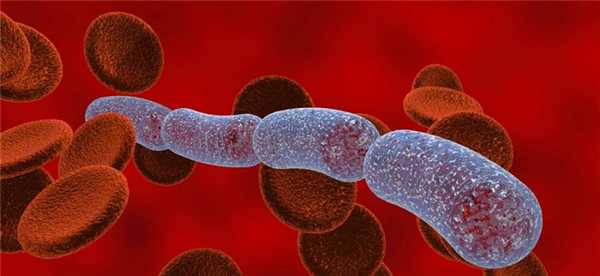 Патогенные микроорганизмы