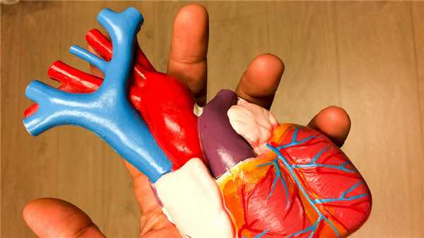 Пролапс митрального клапана