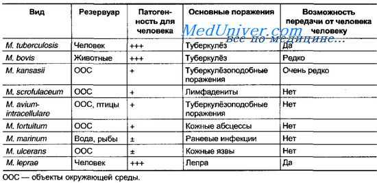 Возбудители туберкулеза
