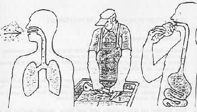 Пути отравления ядами