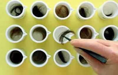 Волосы для лабораторного исследования