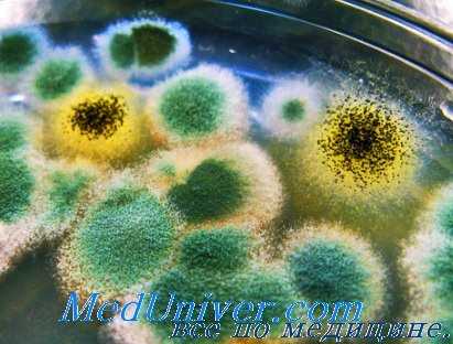 антибиотикотерапия