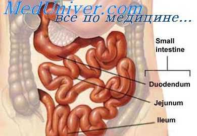 пальпация червеобразного отростка