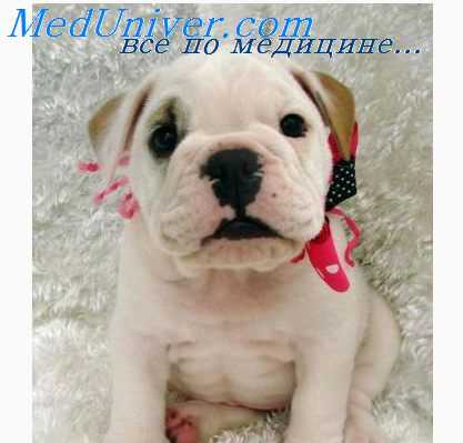 противошоковые жидкости