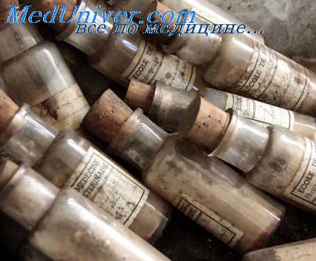 шок в ветеринарии