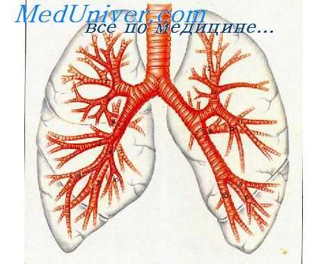 кортикостероиды при астматическом статусе