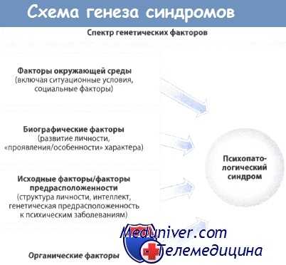 Схема генеза синдромов