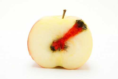 Пульпит молочных зубов у детей