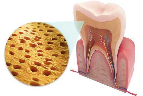 Дентинные канальцы