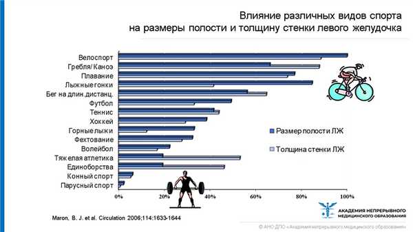 Влияние спорта на сердце