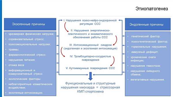 Этиопатогенез стрессорной кардиомиопатии