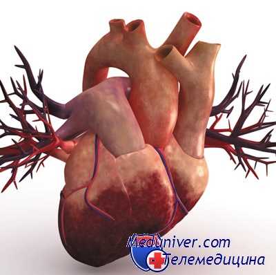 винтовое движение крови