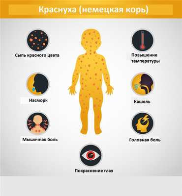 Симптомы краснухи.jpg