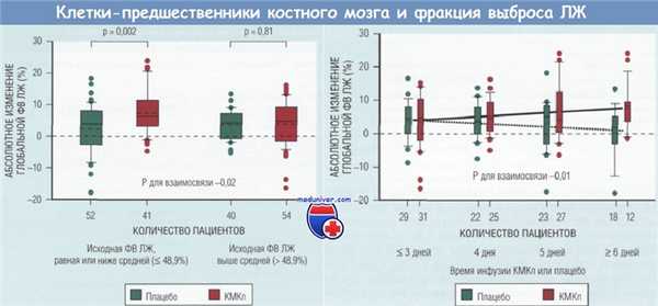 Стволовые клетки при инфаркте миокарда