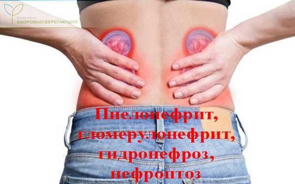Болезни почек