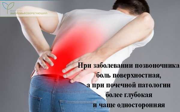 Заболевания позвоночника