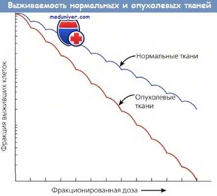 Выживаемость нормальных и опухолевых тканей