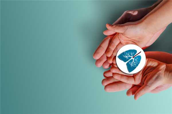 Люди держат в руках легкие