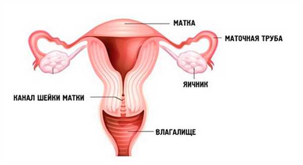 рак-влагалища
