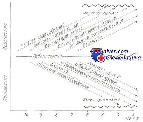 клиника анемии