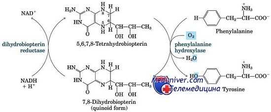 фенилкетонурия