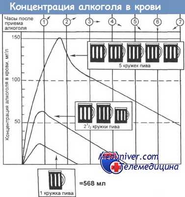 алкоголь в организме