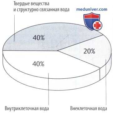 Вода в организме