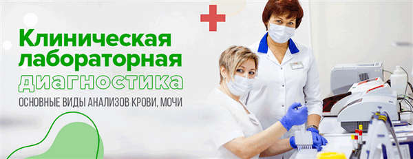 Клиническая лабораторная диагностика: основные виды анализов крови, мочи
