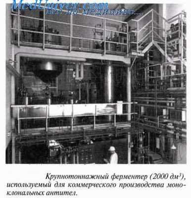 биотехнологичное производство