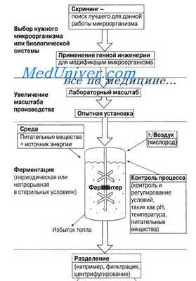 скрининг в биотехнологии