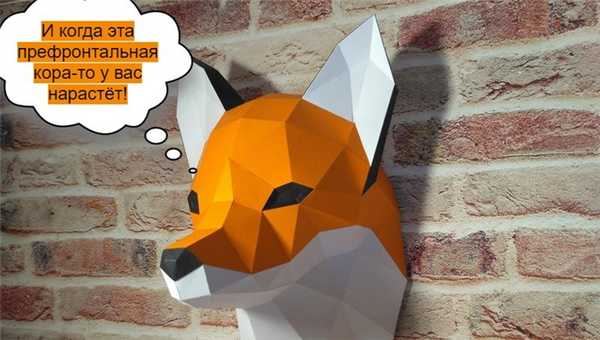 Как пережить переходный возраст