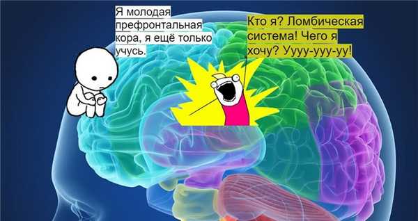 Особенности переходного возраста