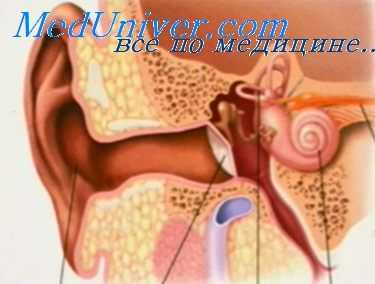 отосклероз и отоспонгиоз