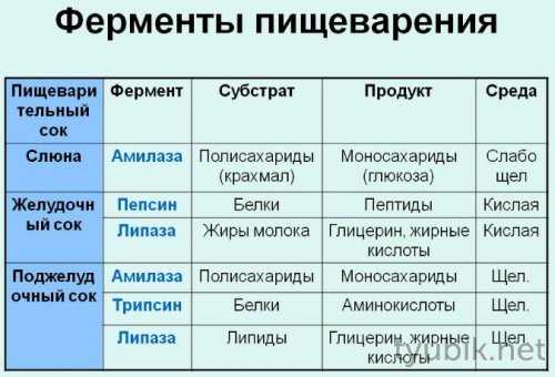 Ферменты для пищеварения