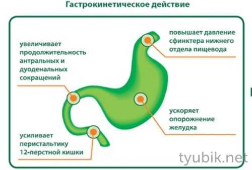 Механизм действия домперидона
