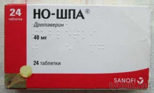 Ношпа для желудка