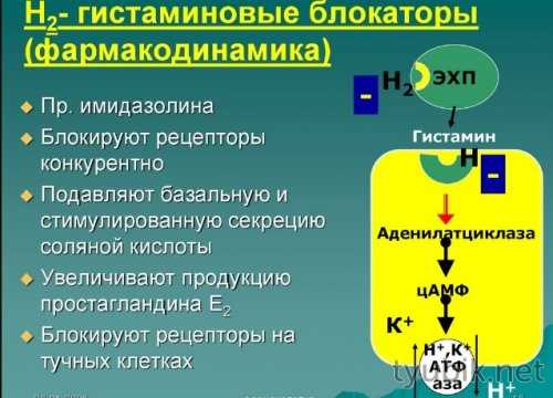 Действие гистаминовых блокаторов