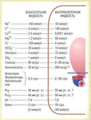 Транпортные белки клеточной мембраны. Диффузия через клеточную мембрану