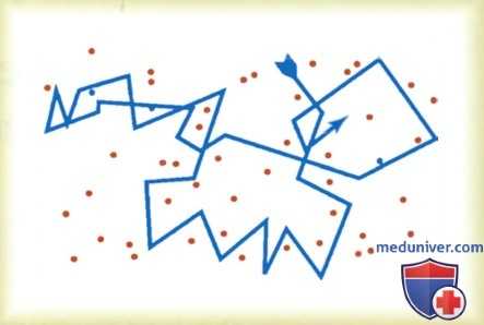 Транпортные белки клеточной мембраны. Диффузия через клеточную мембрану