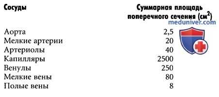 система кровообращения