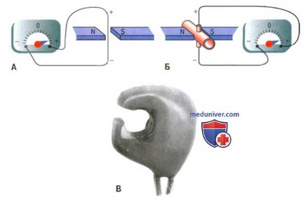 объем кровотока