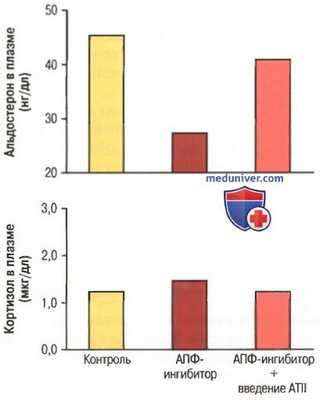Синтез стероидов коры надпочечников. Минералокортикоиды и глюкокортикоиды