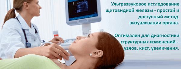 shhitovidnaya-zheleza-i-ee-gormony