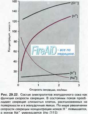 Регуляция секреции желудочного сока. Принципы секреции желудочного сока.