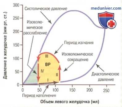 Регуляция сердечного выброса. Механизм Франка-Старлинга