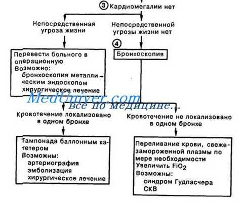 тактика при легочном кровотечении