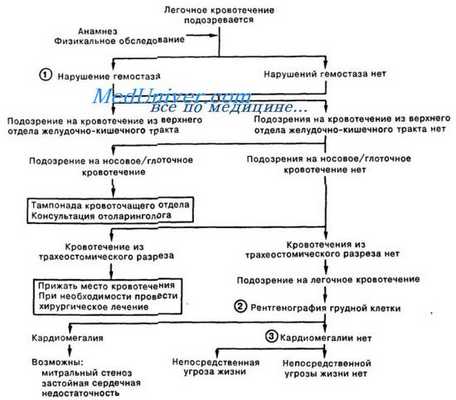 тактика при легочном кровотечении